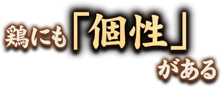 鶏にも「個性」がある